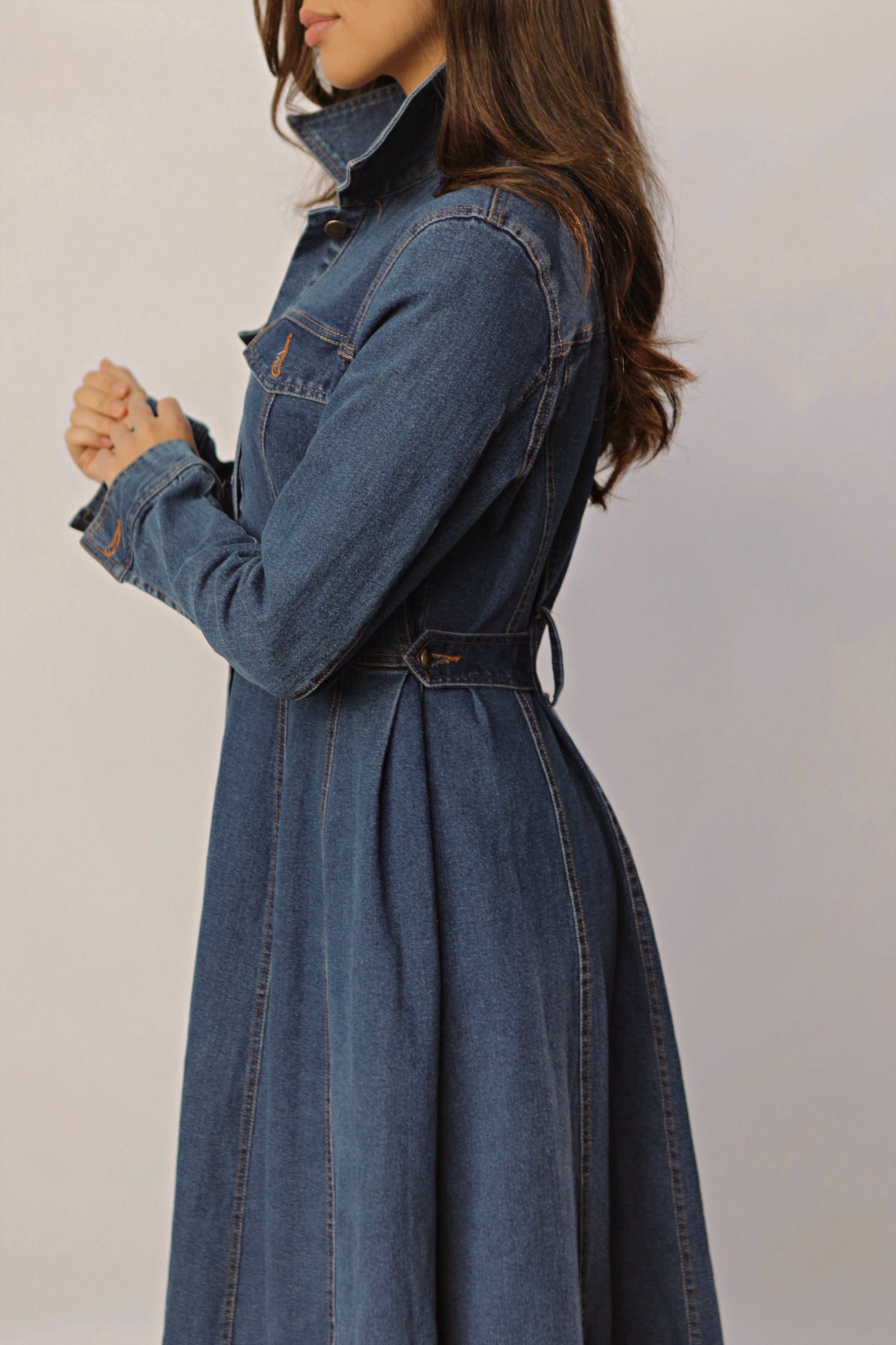 Bridgette Denim Dress