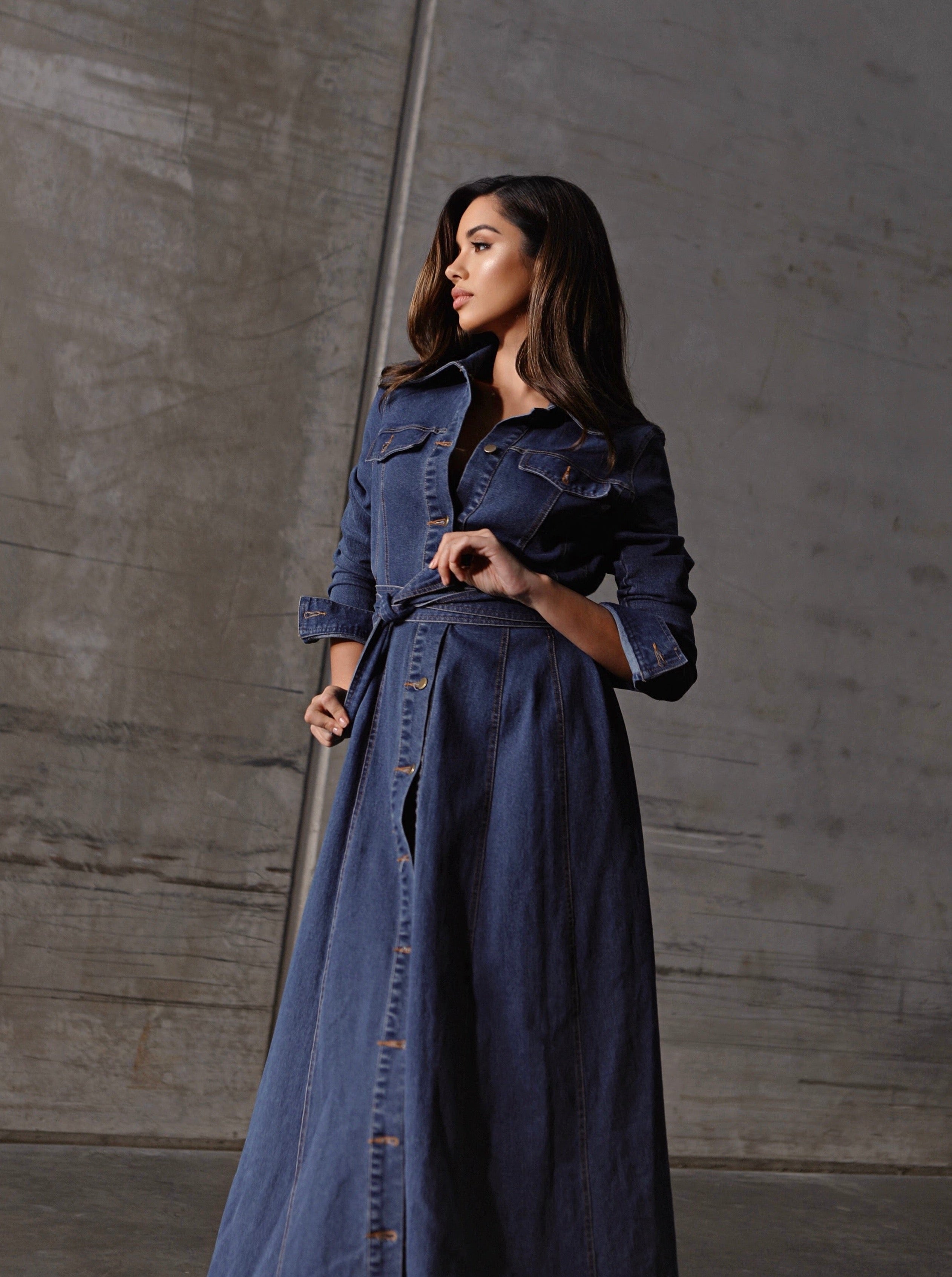 Bridgette Denim Dress